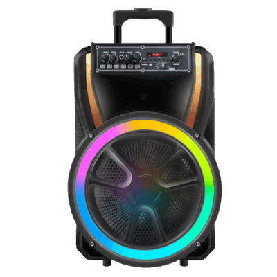 Board-x Speaker Karaoke ES-13S-12 12 Inch, 1 Microphone